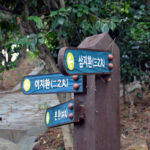 Ulsan Japanese Castle (Hakseong Park)