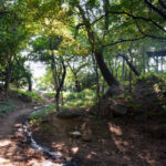 Ulsan Japanese Castle (Hakseong Park)