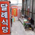 Dallye Sikdang