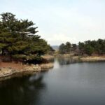 Donggung and Wolji (Anapji)