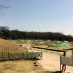 Gyeongju Wolseong