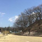 Gyeongju Wolseong