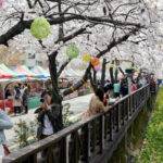 Yeojwacheon