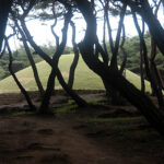 Royal Tomb of Queen Seondeok