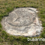 Hwangnyongsa Temple Site