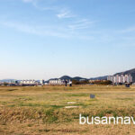 Hwangnyongsa Temple Site
