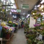 釜山自由卸売市場