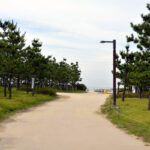Dadaepo Beach