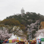Jinhae Gunhang Festival