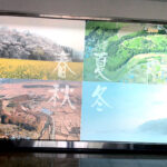 Gyeongju National Institute of Cultural Heritage
