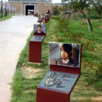 Naju Film Theme Park