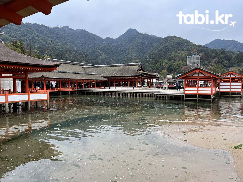 미야지마 宮島(이쓰쿠시마 厳島)