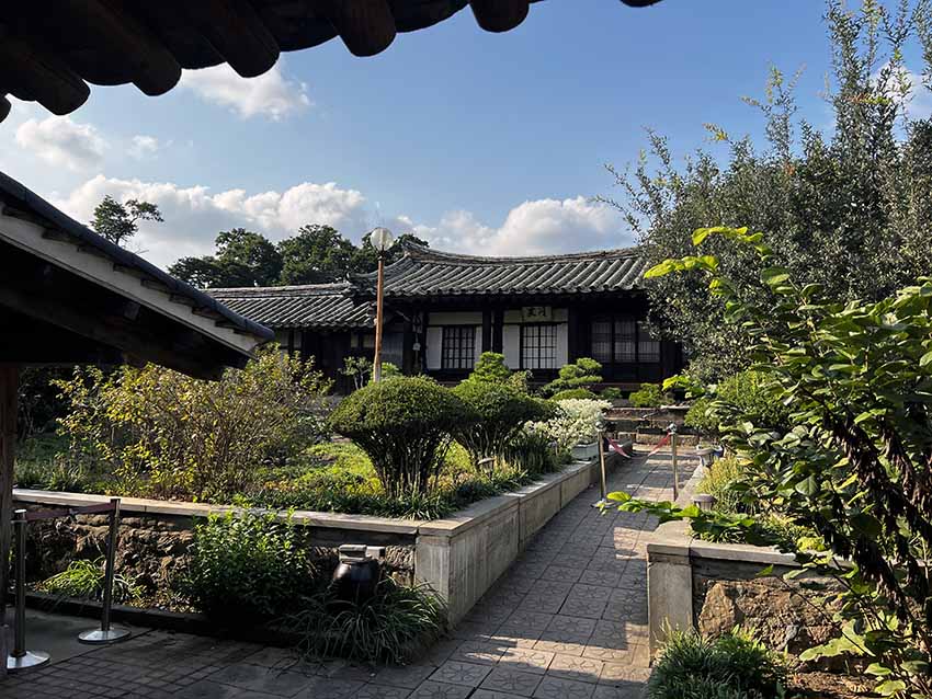 교둉법주