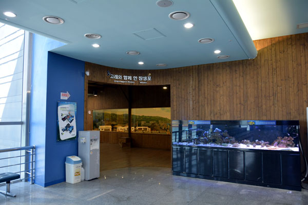 長生浦鯨博物館