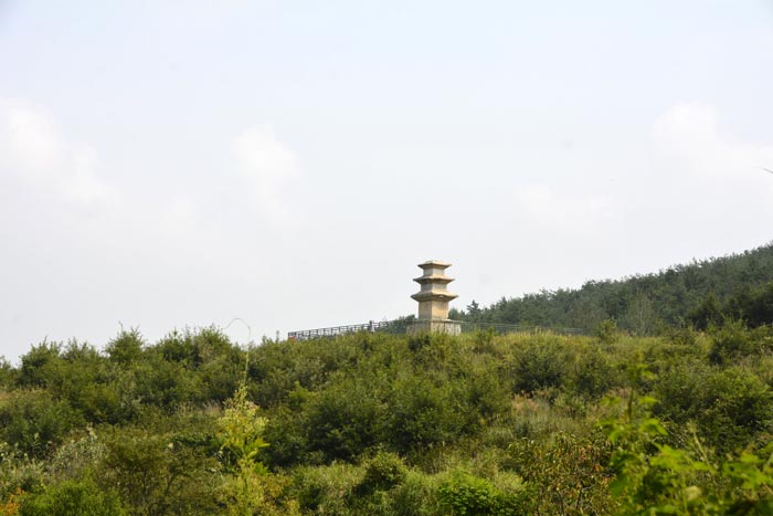 慶州 南山 昌林寺址 三重石塔